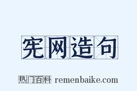 宪网造句是什么意思的图片